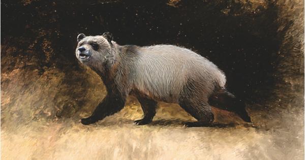 Непознат досега вид голяма панда е обитавал Балканите преди шест