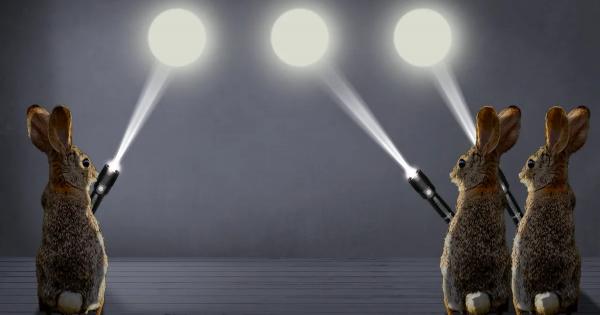 Изследователи от университета в Кюшу откриха нови вариации на традиционна