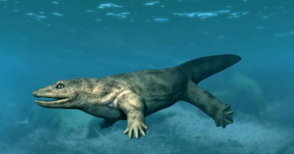 Тиранозавър рекс често е наричан Кралят на динозаврите Ново изследване