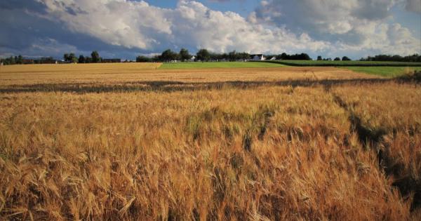 Светът изпрати най горещото си лято от 1940 г когато е