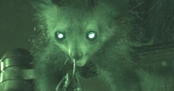 Хората може и да гледат неодобрително на бъркането в носа