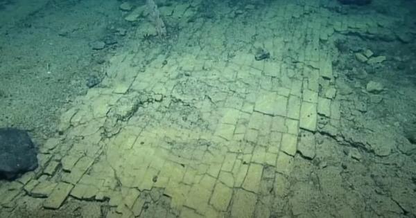 Докато проучват древен подводен вулкан в Тихия океан учени се натъкнат на