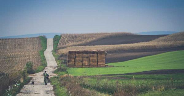Когато минат години дори десетилетия и се обърна назад какво