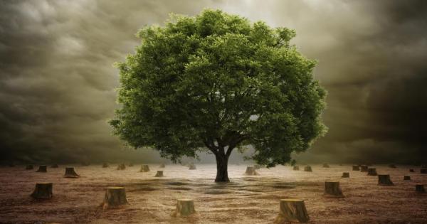 Тази година Денят на екологичния дълг се пада на 29 и юли Според