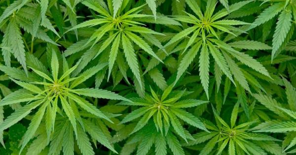 Ново проучване изследва какво предпочитат самите пациенти когато става дума