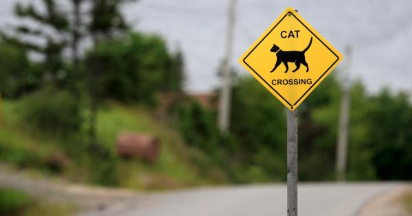 Ако сте суеверни и не ви е приятно когато черна