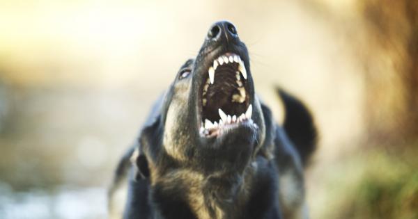 На всеки може да се случи да попадне на бездомни