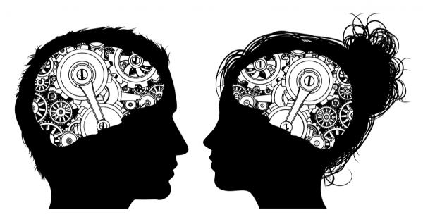 Мозъците на мъжете и жените средностатистически не са толкова различни