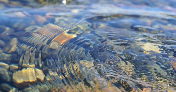 Когато Учителя остарял и изнемощял учениците се събрали и започнали