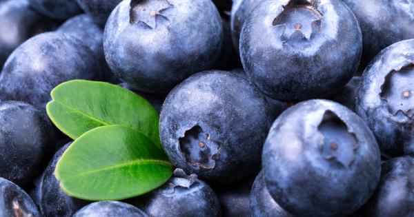 По една купичка боровинки всеки ден е достатъчна за да