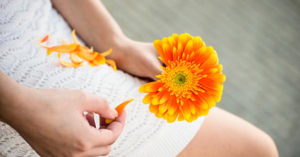 Обича ме не ме обича И така докато свършат листчетата