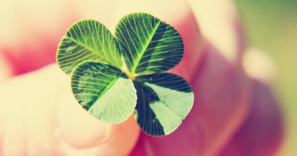 Късметът не е нещо което някои хора имат а други