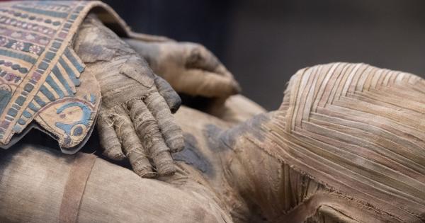 Археолози в Египет са открили нова гробница в която има