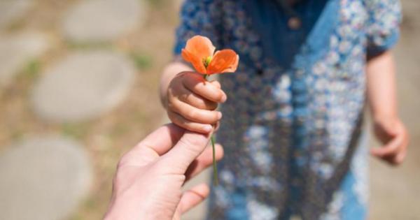 Децата са мъдри – знаем го много добре и въпреки това винаги