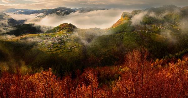 Колко от вас притежават скъп фотоапарат който вместо да прави