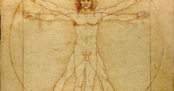 Кръвта съдържа същото количество соли като морската вода Костите са 4