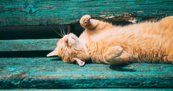 Важно е да имате поне най основни познания за начина по