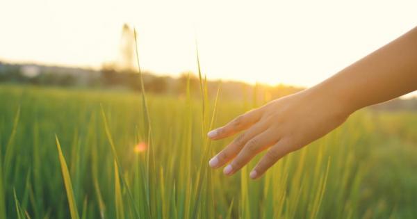 Век живей век учи – справедлива мъдрост с която