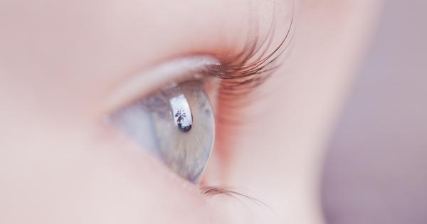 Трима из една душа поехме ние още от първия миг