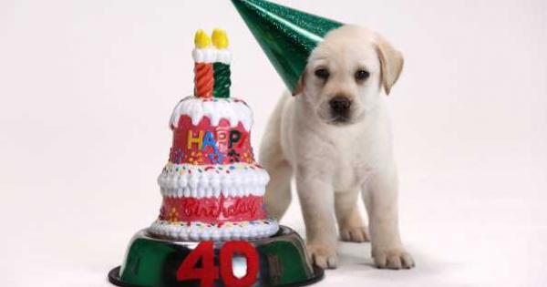 Може да ви звучи невероятно днес но е имало времена