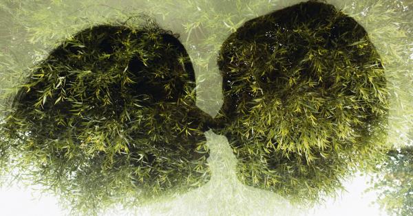 Любовта е сложна и мощна сила – и тя ни