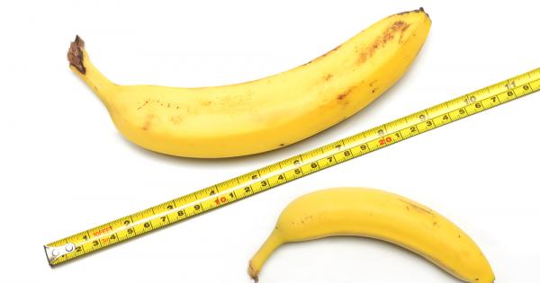 Размерът няма значение важното е как го използваш Дали наистина