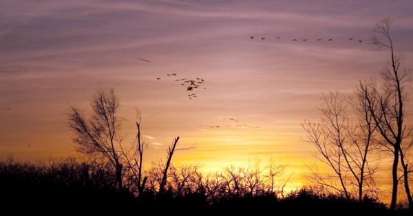 Не е нужно човек да е зад решетките за да