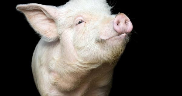 Когато Стив Дженкинс и Дерек Уолтър решават да приберат Естер