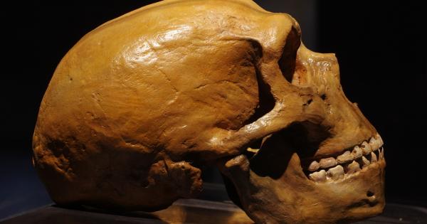 Археолозите вече разполагат с недвусмислени доказателства за канибализъм сред неандерталците.
