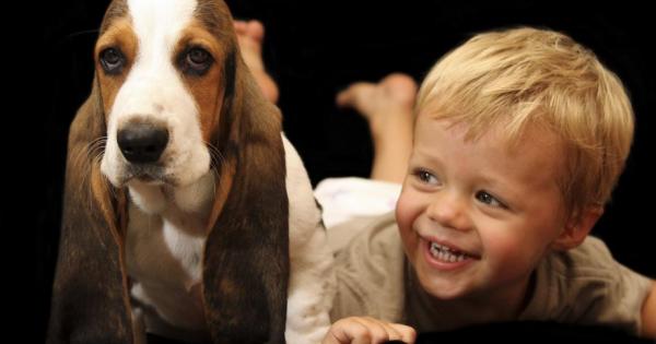 Мамо искам кученце чували сте този зов на детето което