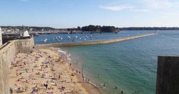 От десетилетия потенциално смъртоносни зелени водорасли се натрупват в заливи