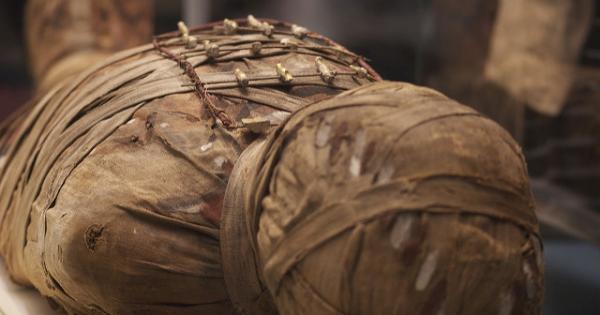 По време на работа чилийски фермери откриха случайно три мумия