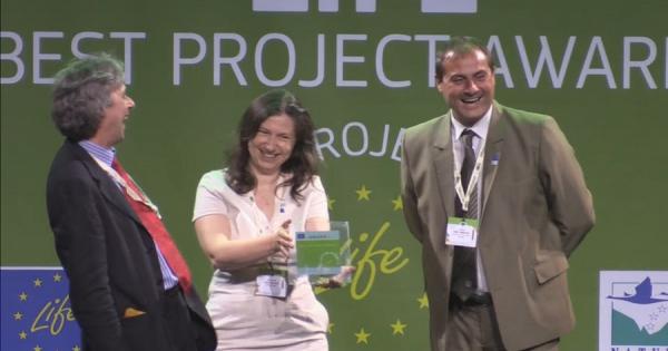 Проекти на природозащитните организации Зелени Балкани – Стара Загора WWF