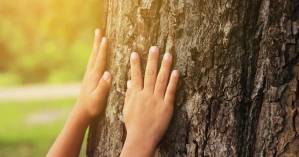 Родителите обичат конкретни съвети които да им помогнат да изберат