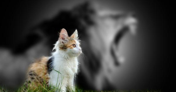 Всеки ден милиони хора се събуждат сутрин и бързат да