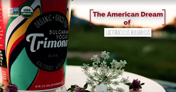 Eдин българин който не просто е постигнал американската мечта като