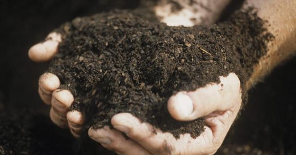 Пръстта може да служи като своеобразен щит от паразитите и