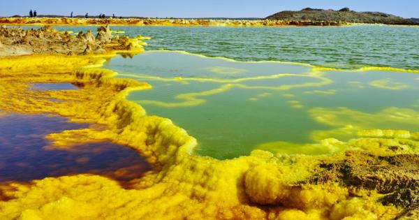 Слънцето изгаря напуканата земя трептящи миражи объркват очите а сухият