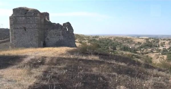 Понякога има полза и от пожарите – ако миналата година