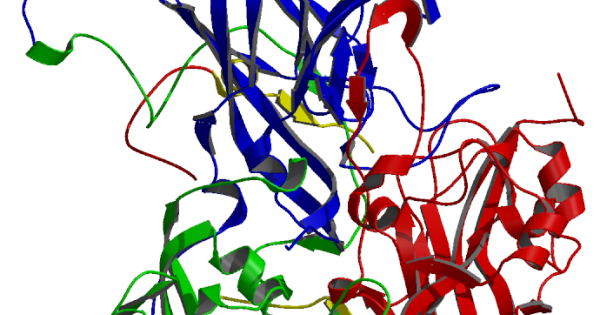 Учени от Университета Отаго в Нова Зеландия разбраха как открития