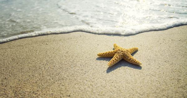 Живял едно време мъдър човек който всяка сутрин се разхождал