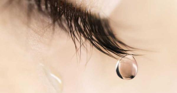 Това което мислим и чувстваме има пряко влияние върху качеството на