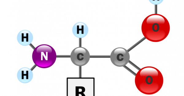 През 1953 г 23 годишният Стенли Милър с помощта на своя