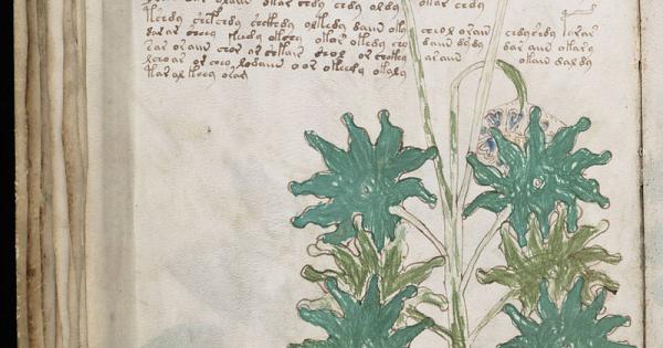 Зад стените на Библиотеката за редки книги и ръкописи Бейнеке