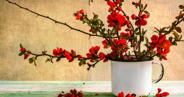 Животът е поредица от уроци които трябва да се изживеят