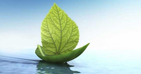 Всички знаем че здравият човек не пуши килограмите му са