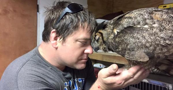 Совата Джиджи е на прага на смъртта когато я довеждат