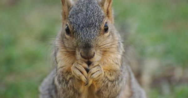Всеки знае че трябва да се пази от опасни хищници