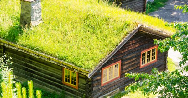 Красива природа и висок жизнен стандарт жителите на Скандинавските страни