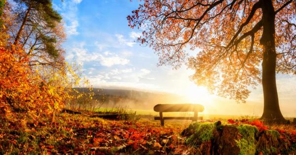 Есента често чувстваме че силите ни са изчерпани Дните стават